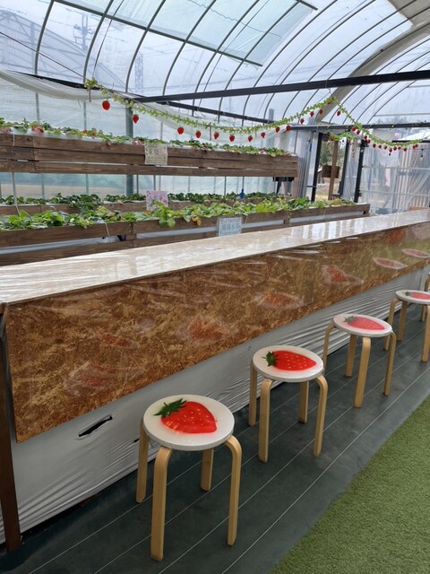 Mizuta Noen No Cafe photo 5