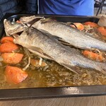 anchoa - 