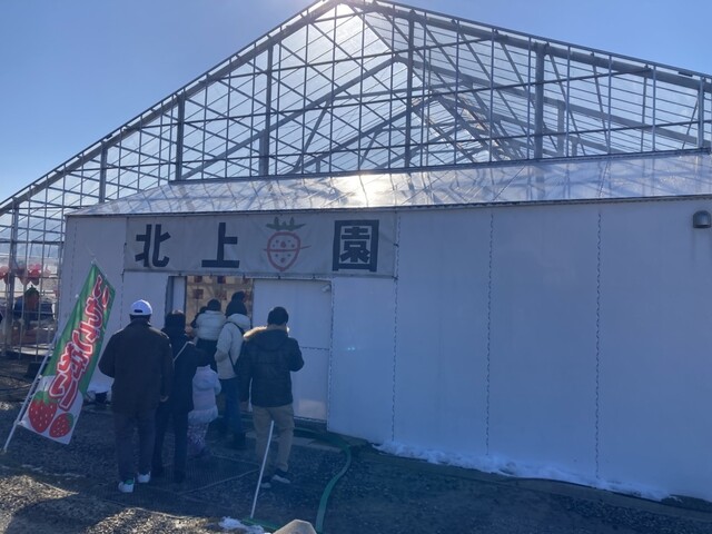 北上いちご園 - 柳原（その他）の写真