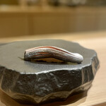 京橋 鮨 好日 - コハダ