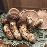 富小路 やま岸 - 