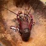 日本料理 新茶家 - 