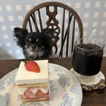 ドゥミュミュール 樹の音 - 