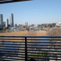 鰻割烹 伊豆栄 本店 - 七階だったので、眼下には不忍池と弁天堂。