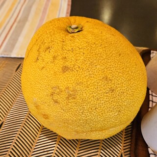 一汁菜彩 稟々々_1