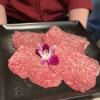 黒毛和牛焼肉きっしゃん 北新地店 - 