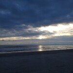 自家製麺専門店 マタタビ商店 - 