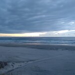 自家製麺専門店 マタタビ商店 - 