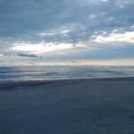 自家製麺専門店 マタタビ商店 - 