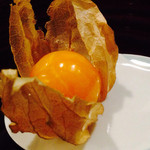 広尾 一会 - 2014/6月
      ほおづき