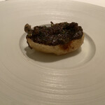 カンテサンス - 