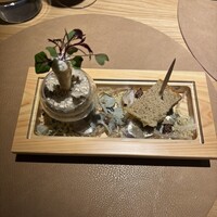地球星 - 