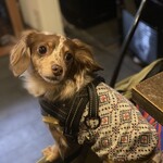 フロックス ローカル マーケット - 