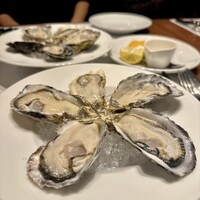 舵 - 