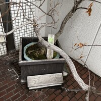近松 - 
