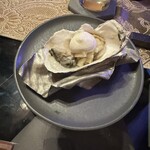 ガストロノミヤ 古賀圭祐 - 