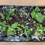 とんぼ - 鯨のたたき