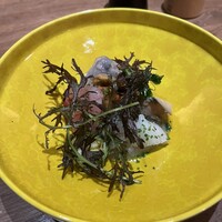 Selvaggio - 