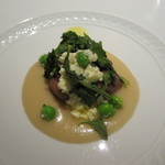 フォリオリーナ・デッラ・ポルタ・フォルトゥーナ - 鴨の心臓