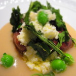 フォリオリーナ・デッラ・ポルタ・フォルトゥーナ - 鴨の心臓