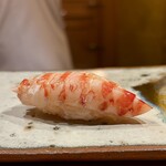 鮨 つぼみ - 車海老