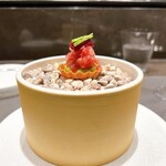 CIRPAS - 3. ビーツと鮪のタルトレット