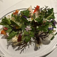 レフェルヴェソンス - 