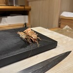 北陸の鮨 飛泉 - 