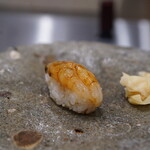 こい勢 - がさえび