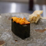 こい勢 - バフンウニ：北海道