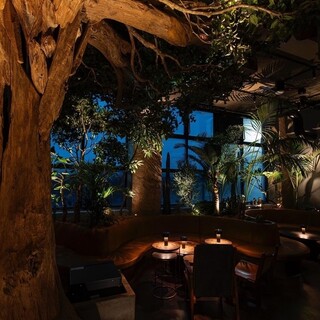 独自の世界観を演出◆3エリアで楽しむ多彩な座席