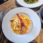 シャイニーアウル - 