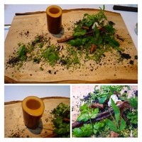NARISAWA - ◆「森のエッセンス・里山の風景」と名付けられたお料理。 