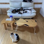 ねこ屋 - 