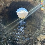 あさぎり牛乳工房 - 