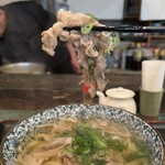 海で魚を食べる鳥 - 肉うどん