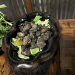 とよのあかり すずの音 - 