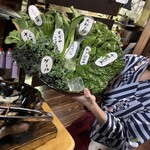 とよのあかり すずの音 - 