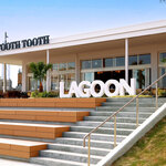 LAGOON TOOTH TOOTH - メイン写真: