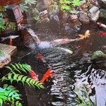 神田きくかわ 上野毛店 - 