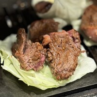 奈良きみや 別邸 柘榴 - ヘレ肉