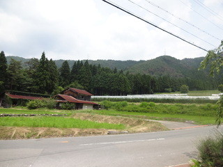 Koshihatafurendopakumatsubara - 店の前の風景