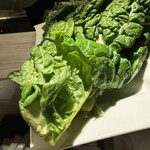 エヴァラスティング - 