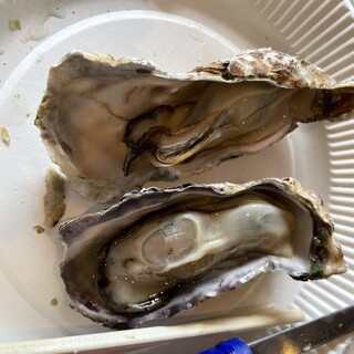 口コミ一覧 : 牡蛎処 桝政 室津本店 （カキドコロマスマサ） - 本竜野