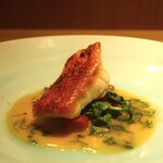 RISTORANTE IL NODO - 神奈川県松輪の金目鯛 モモノスケかぶ