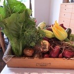 レストラン ビオス - 本日のメニューに登場する野菜たちです。