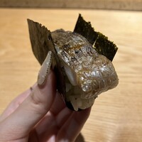 恵比寿 鮨 藤 - 