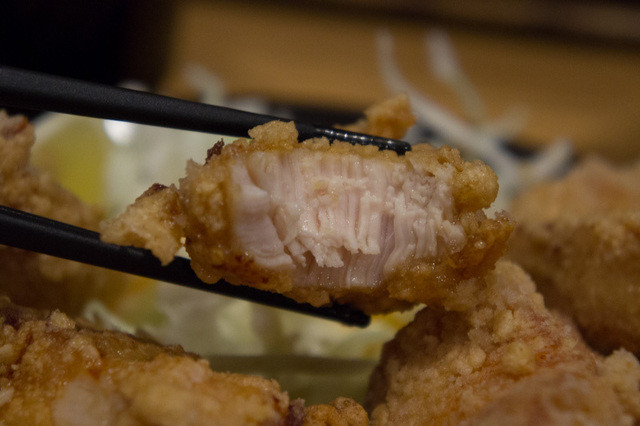 Tenkara Kiraku photo 3