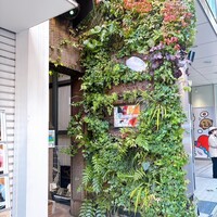 biodinamico - 