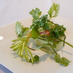 アル・ケッチァーノ  - 蟹と胡瓜とパクチー